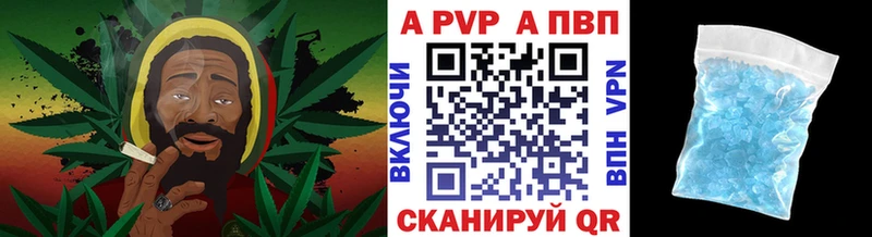 A PVP СК КРИС  Великие Луки 