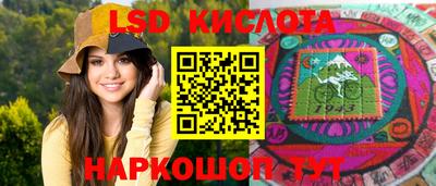 дмт Аргун