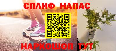 дмт Аргун