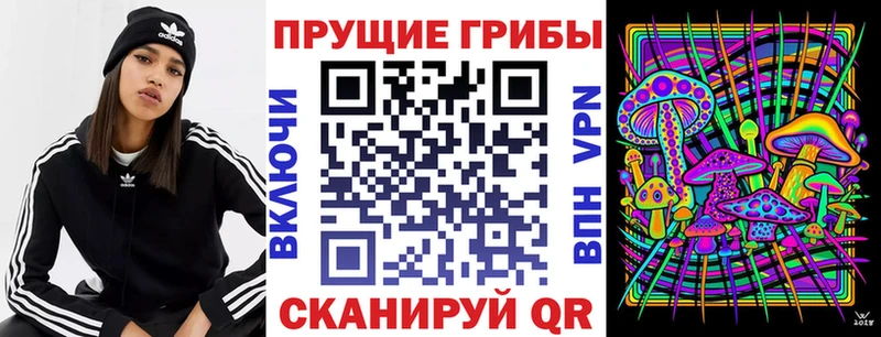 наркота  Великие Луки  Галлюциногенные грибы Psilocybine cubensis 