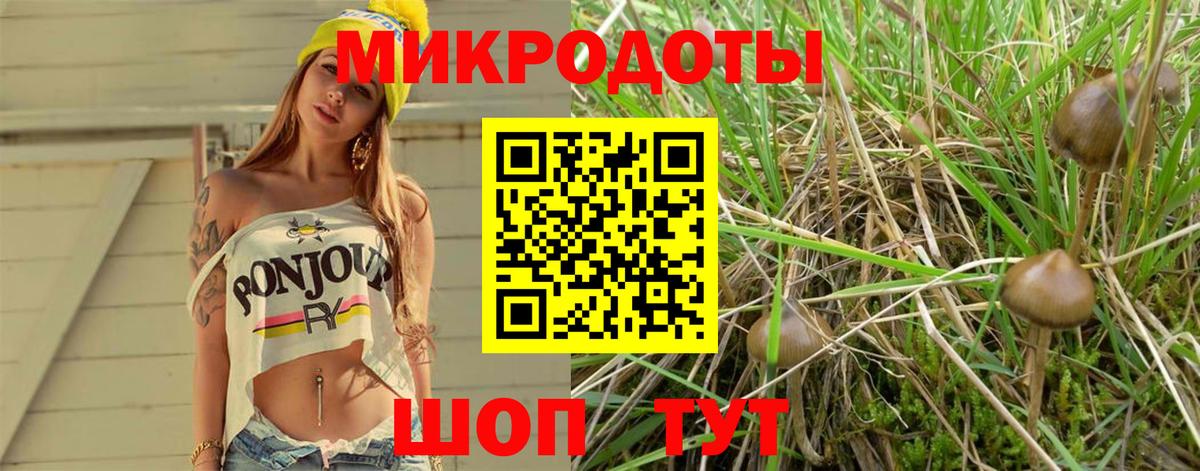 Галлюциногенные грибы Psilocybine cubensis  Вход с VPN  Псилоцибиновые грибы Cubensis  Великие Луки 