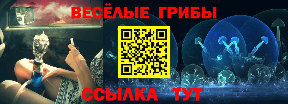 Псилоцибиновые грибы прущие грибы Великие Луки
